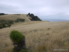 P1000215