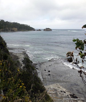 P1000075-76 Tessellated Pavement stitch