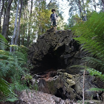 Peter on Big Stump stitch