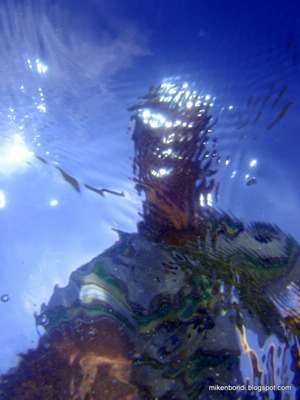 P3120078
