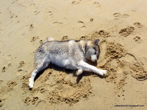 Sand Angel