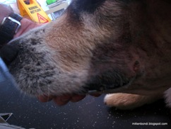 pre-stitch removal