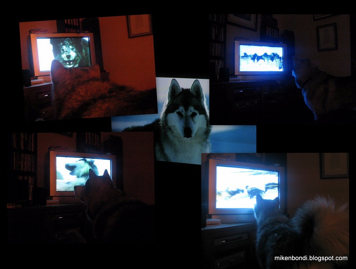 [20090529 Munson watching Antarctica[3].jpg]