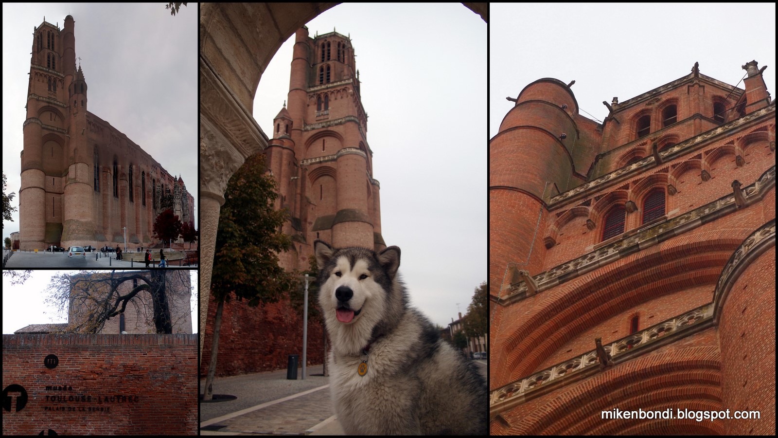 [2010-10-30 Wolf park - Albi1-2[3].jpg]