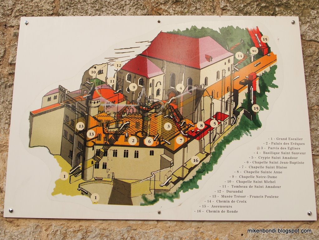 [P1022096-1[11].jpg]
