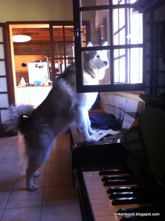 2011-03-20 at 14.30.35