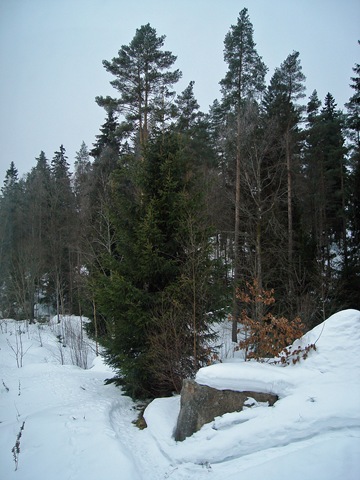 [DSC09715[5].jpg]