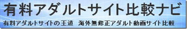 有料アダルトサイト比較ナビ