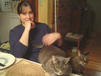 image of B with cats on her lap
