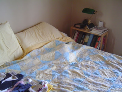 image of a cat