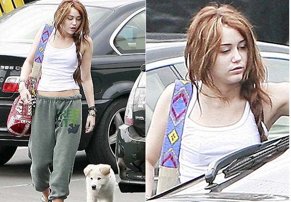 Miley Cansada