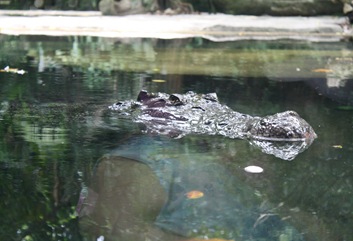 IMG_6503 IMG_6503