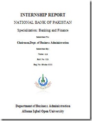 nbp internship report front page