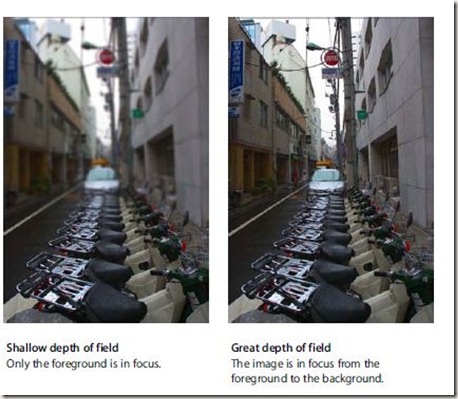  How Digital Cameras Capture Images