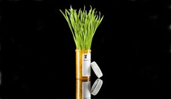 medical-marijuana-slideshow medical-marijuana-slideshow