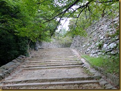 DSCF6684 DSCF6684