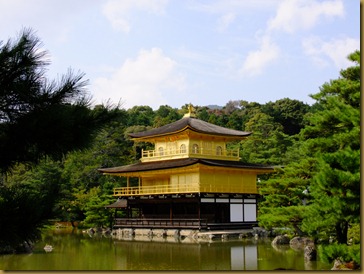 DSCF6914 DSCF6914