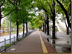 DSCF7508 DSCF7508