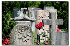 Zurich_10_07_08 038 - 1.jpg