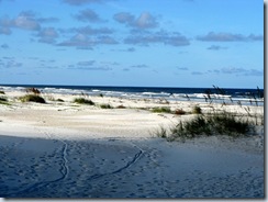 StAug4