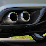 IMG_4985CROP.jpg