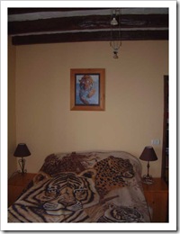 Our new Tiger theamed Bedroom