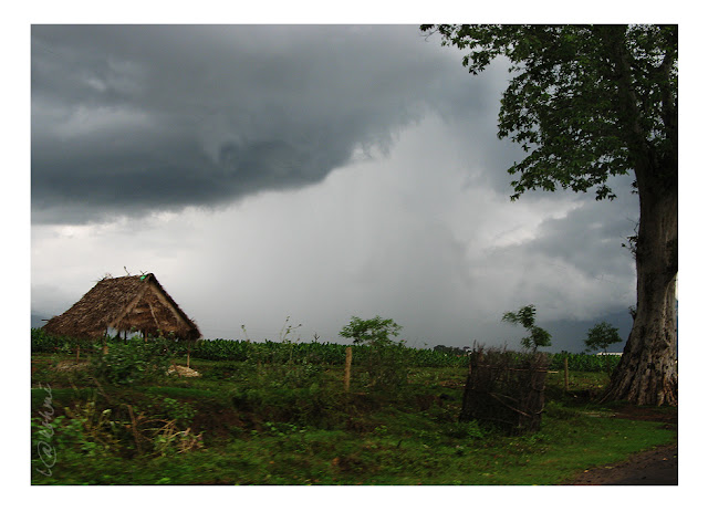 Fun & Info @ Keralites.net