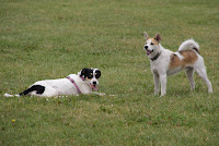 DSC06942.JPG