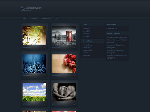 My Showcase.jpg