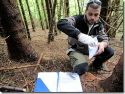 Andrea Caboni, dell'universit&agrave; di Udine, mentre archivia sul campo un pelo di orso appena prelevato dal filo di ferro che circonda l'esca