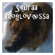 bloglovin