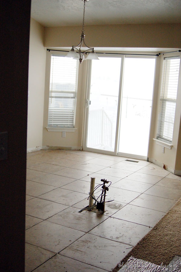 [020609_tile1[2].jpg]