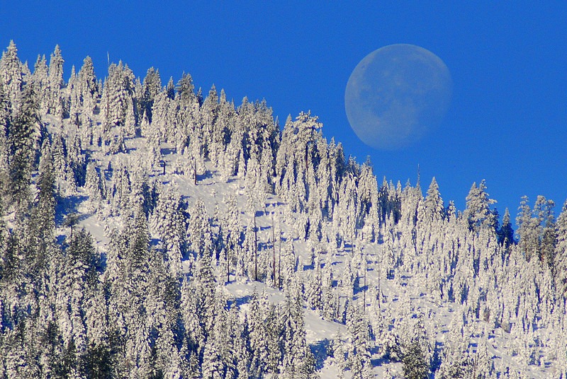 [photoshare Moon Set (over Soldier Mt) Fall River Mills CA got2dogs[3].jpg]