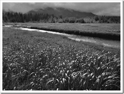 Фотограф Ансель Адамс prosvit-photo_ansel-adams_Rain-Beartrack-Cove-Glacier-Bay-National-Monument-Alaska-194 Фотограф Ансель Адамс prosvit-photo_ansel-adams_Rain-Beartrack-Cove-Glacier-Bay-National-Monument-Alaska-194