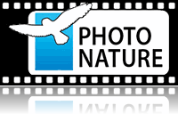 Фотоконкурс української анімалістичної фотографії Photo Nature