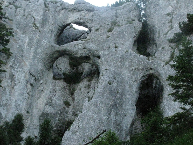 http://lh4.ggpht.com/_sFXS-kJTbgY/TFvcJYQj7GI/AAAAAAAADY4/0XJLwYihEzw/s800/IMG_5887.JPG
