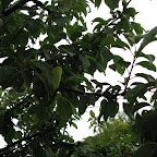 IMG_3504.JPG