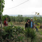 IMG_3491.JPG