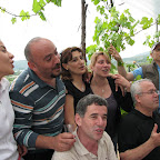 IMG_3544.JPG