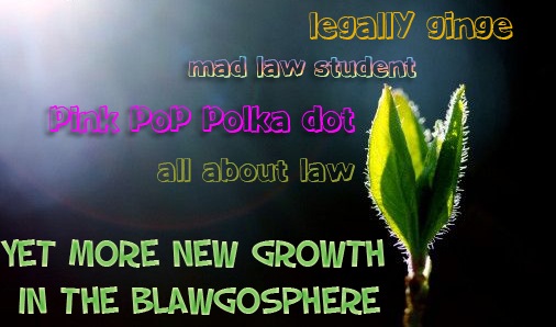 [moregrowthintheblawgosphere5.jpg]