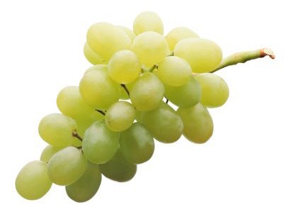 [grapes[5].jpg]