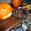 Winston and Bearnie discuss Halloween plans
