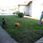 Cleaning the pumpkins from the patch.