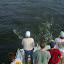 DSC01679.JPG