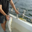 DSC01691.JPG