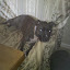 2010-07-18 17.58.20.jpg