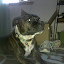 2010-05-17 19.47.25.jpg