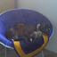 2010-05-10 16.41.14.jpg