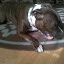 2010-03-31 14.56.27.jpg