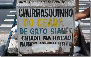 galeria05